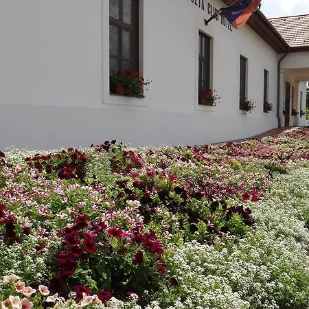 Sarlospuszta Club 3* Tatárszentgyörgy